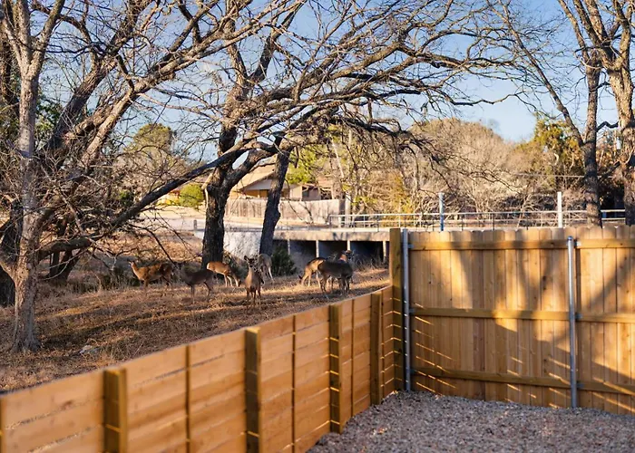 Holiday home 5br Oasis W Pool Sauna & Fire Pit